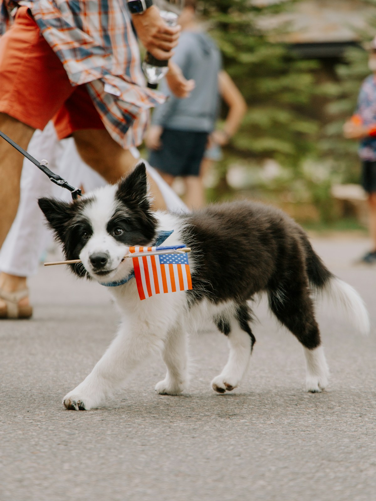 Professional news photography by Unsplash Photographer via Unsplash